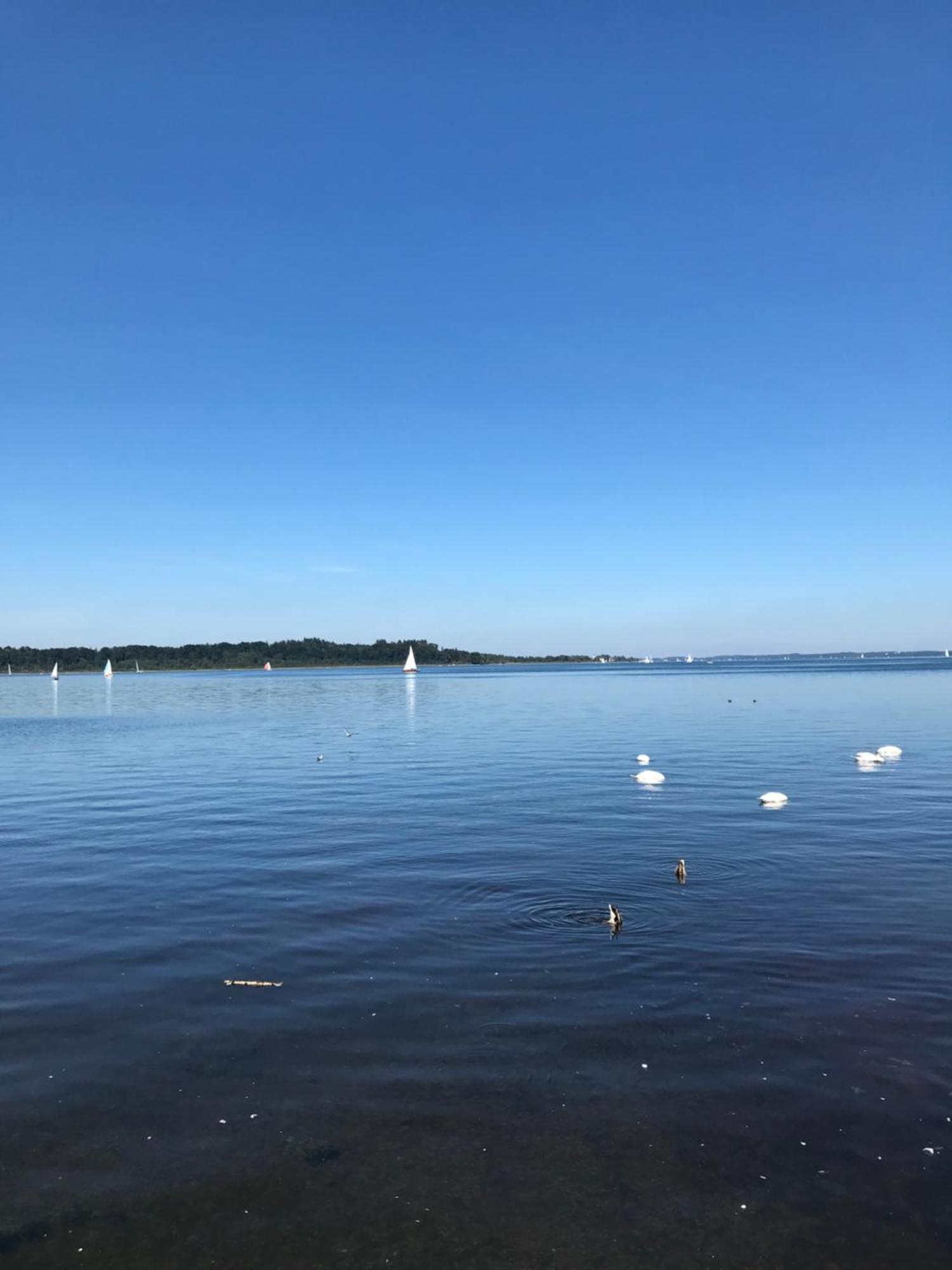 Ferienhaus Westerbuchberg Übersee Eksteriør billede