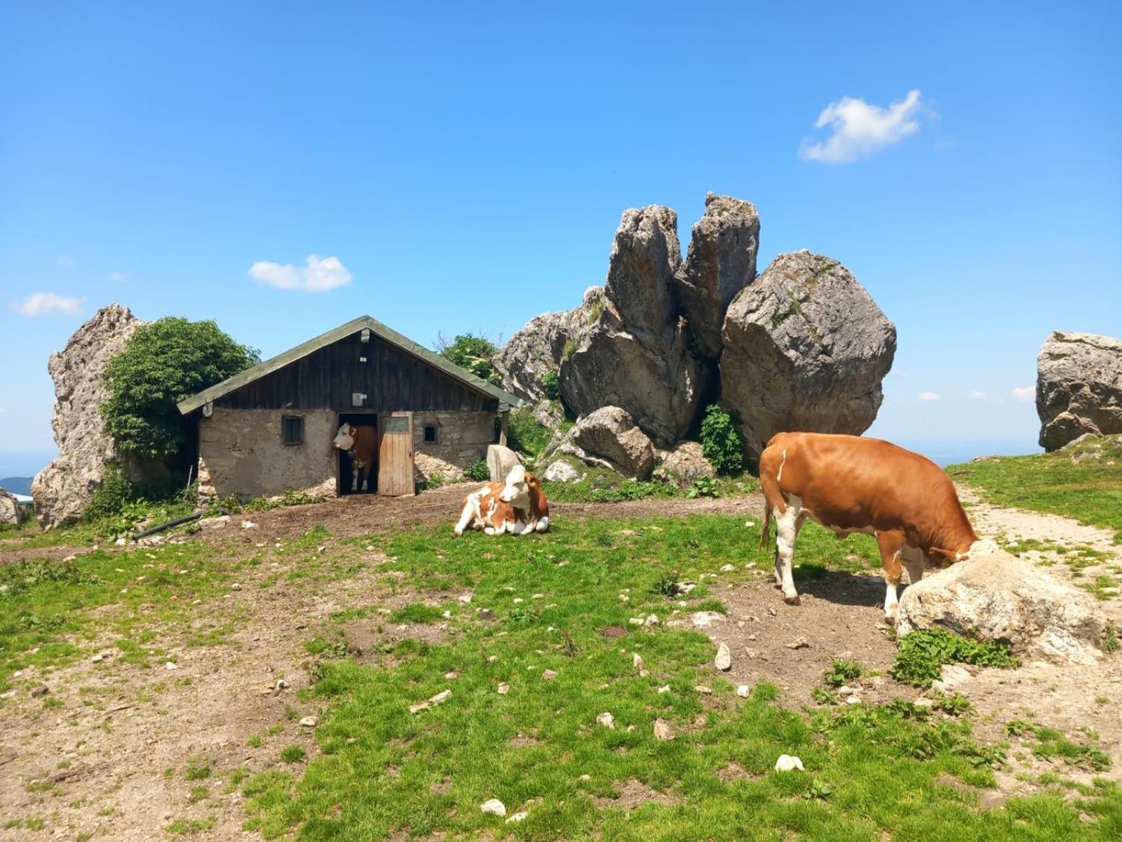 Ferienhaus Westerbuchberg Übersee Eksteriør billede